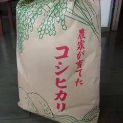 農薬不使用 令和7年産コシヒカリ 天日干し 新鮮もみすり立て 玄米5キロ