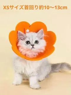 ❤️エリザベスカラー❤️犬 猫 フラワーデザイン ソフトタイプ オレンジ