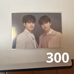 SEVENTEEN 2021 HARE トレカ ウォヌ バーノン ペア
