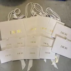 DIOR ショッパー　ギフトバッグのサムネイル