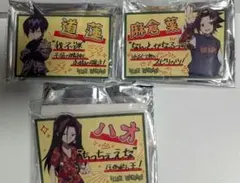 Shaman King Hao Yoh Tao Ren Badge Village Vanguard 3/6 Set