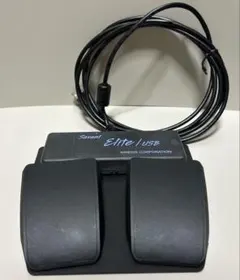 FS20A Savant Elite Programmable USB
