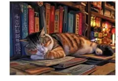 チロフラミイ様 リクエスト 2点 まとめ商品