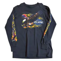 長袖Tシャツ イーグル ファイヤーパターン ハーレーダビッドソン フレイムス m