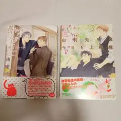 木下けい子　由利先生シリーズ 2冊セット