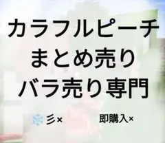 2026年最新】カラフルピーチまとめ売りの人気アイテム - メルカリ