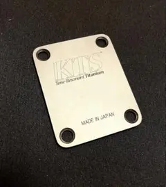 Item thumbnail for item 9435c350-6081-411a-bef5-21fe9da255f3