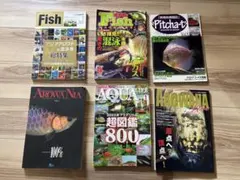 Item thumbnail for item c76b6c5b-bcfd-48fd-ad9a-e4f77030d507