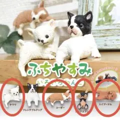 ふちやすみ いろいろわんこ 色々わんこ 4種5個セット