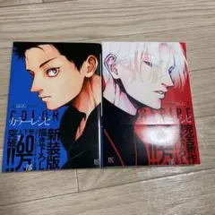 カラーレシピ　上下巻