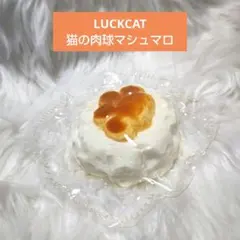 えりか様 リクエスト 2点 まとめ商品