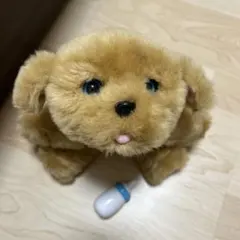 2025年最新】マイドリームパピー スナッグルズの人気アイテム