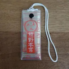 Item thumbnail for item d5b089dc-15e2-422f-a891-94a9b51ff009