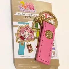 ウマ娘プリティーダービー Bic camera ビックカメラ トランセンド