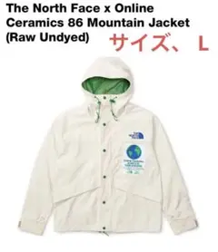 The North Face Mountain Jacket