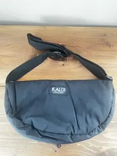 KALDI カルディ いちごバック2025 ボディバック