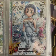 ドラゴンクエスト ダイの大冒険 クロスブレイド ビアンカ フローラ