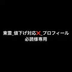 東雲_値下げ対応❌_プロフィール必読様専用
