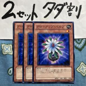 やきとり様 リクエスト 2点 まとめ商品