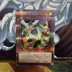 2025年最新】ドロール&ロックバード プリズマの人気アイテム - メルカリ