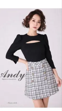 andy 七分袖ドレスワンピ　an好きに