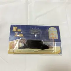 【新品未開封】Snow Man 岩本照 RAYS アクリルスタンド