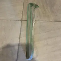 帯締め　ミントグリーン