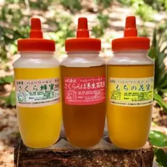 Item thumbnail for item 8cf88458-b6f1-445d-8e17-f8930c9fa635