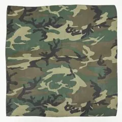 Item thumbnail for item bd4dd41c-5c01-40d6-b0cd-9b8be79c1647