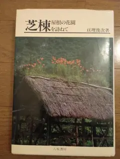 Item thumbnail for item 06ba9768-05ee-4142-acd1-abae4bf1f660