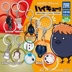 つながリングチャーム ハイキュー!! マスコット カゲガラス