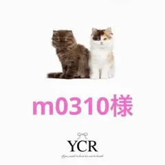 m0310様専用　JINステッカー