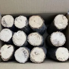 Item thumbnail for item 8e318fd7-dbd7-4df9-87d6-19a075d7d422