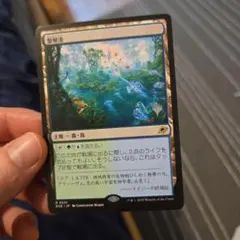 MTG 繁殖池/Breeding Pool 1枚英語 - メルカリ