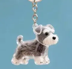 Item thumbnail for item ef65bdd5-b932-4376-b8f3-dfd219f3ede1