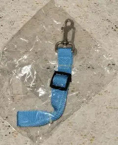 Item thumbnail for item e20b0ef1-94e8-44bb-865c-643eae17e312