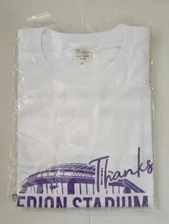 Item thumbnail for item 6691e1a1-ade9-403f-92b3-87a16c1df447