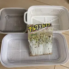 リッチェル スプラウト栽培器　まとめ売りのサムネイル