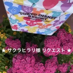 サクラヒラリ様 リクエスト 2点 まとめ商品