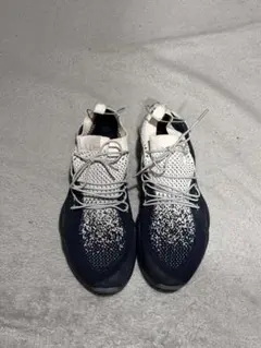 【箱なし】 Reebok CLASSIC DMX FUSION HC