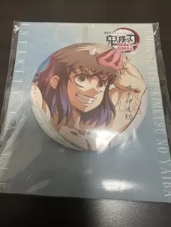 鬼滅の刃 嘴平伊之助 無限城編 飾れる缶バッジ 開封済