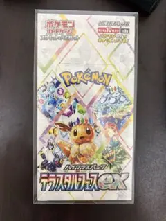 2026年最新】テラスタルフェスex BOXの人気アイテム - メルカリ