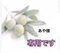 ⭐️ あや様専用⭐️