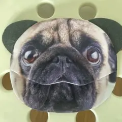 パグ ポケットティッシュケース