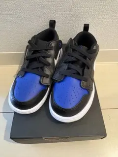 JORDAN 1 Low ALT TD 16cm
