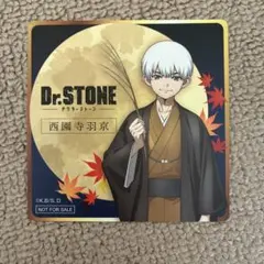 2026年最新】dr.stone まねきねこの人気アイテム - メルカリ