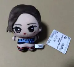 2026年最新】aespaカリナぬいぐるみの人気アイテム - メルカリ