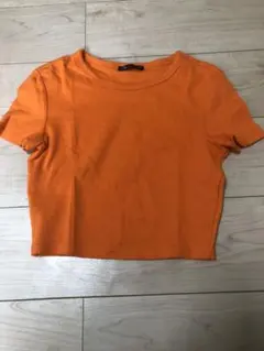 Item thumbnail for item 856b5c3b-78ec-4d03-a5aa-cb27b0a3e3ed