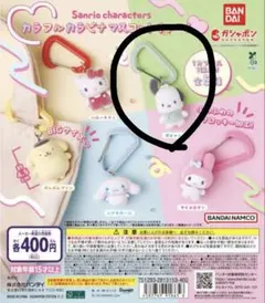 サンリオキャラクターズ　カラフルカラビナマスコットチャーム　ポチャッコ　新品