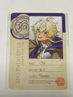 ビバレン クック 特典 認定証カード AGF